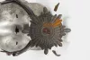 Prussian Garde du Corps Model 1915 Pickelhaube - RARE Visuel 12